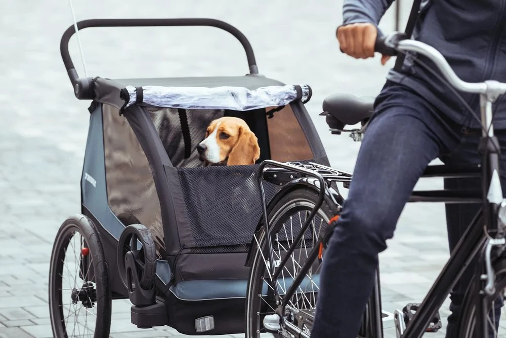 Thule Courier 2-sitziger Kinderanhänger 13 Thule Courier 2-sitziger Kinderanhänger – Bild 11