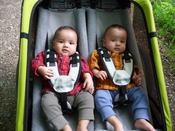 Thule Babysitz Für Chariot Kinderanhänger Ab 2002-2016 9 Thule Babysitz Für Chariot Kinderanhänger Ab 2002-2016 – Bild 7