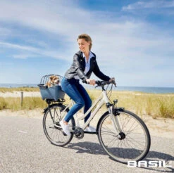 Basil Korbgitter Space Frame -Fahrrad Serie basil korbgitter lifestyle